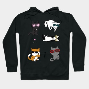 Funny cats with glasses Hoodie